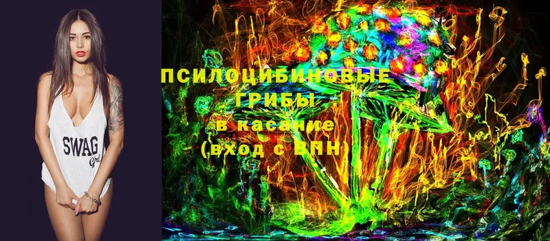 Псилоцибиновые грибы Cubensis  Ессентуки 