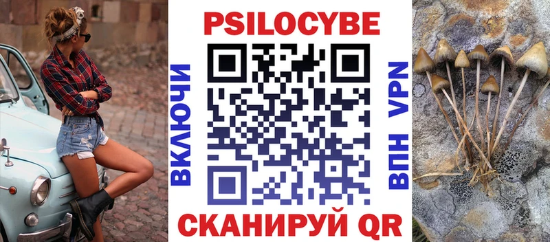 купить   hydra как войти  Псилоцибиновые грибы GOLDEN TEACHER  Ессентуки 