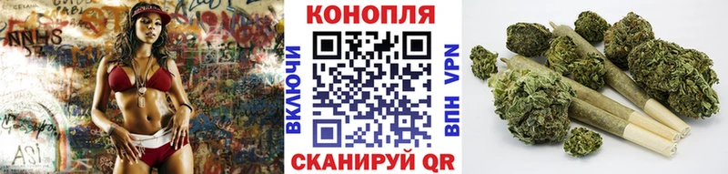 Шишки марихуана индика  как найти наркотики  Ессентуки 