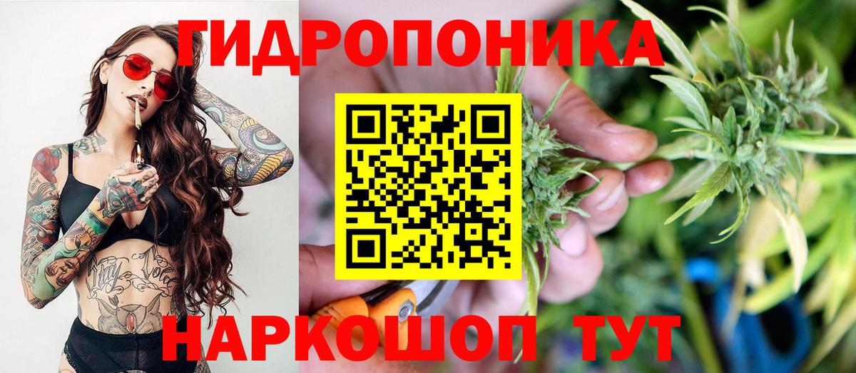 Бошки марихуана ГИДРОПОН Ессентуки